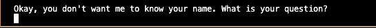 Because I did not enter a name, the Magic 8-Ball answered, 