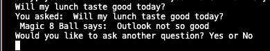 Screenshot of the Magic 8-Ball saying : You asked : 