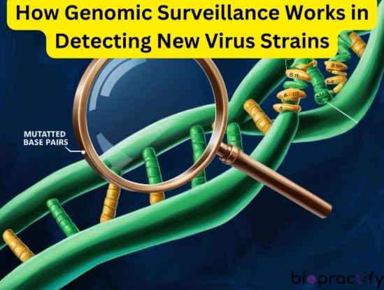 How Genomic Surveillance Works in Detecting New Virus Strains