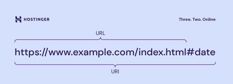 API & network topics