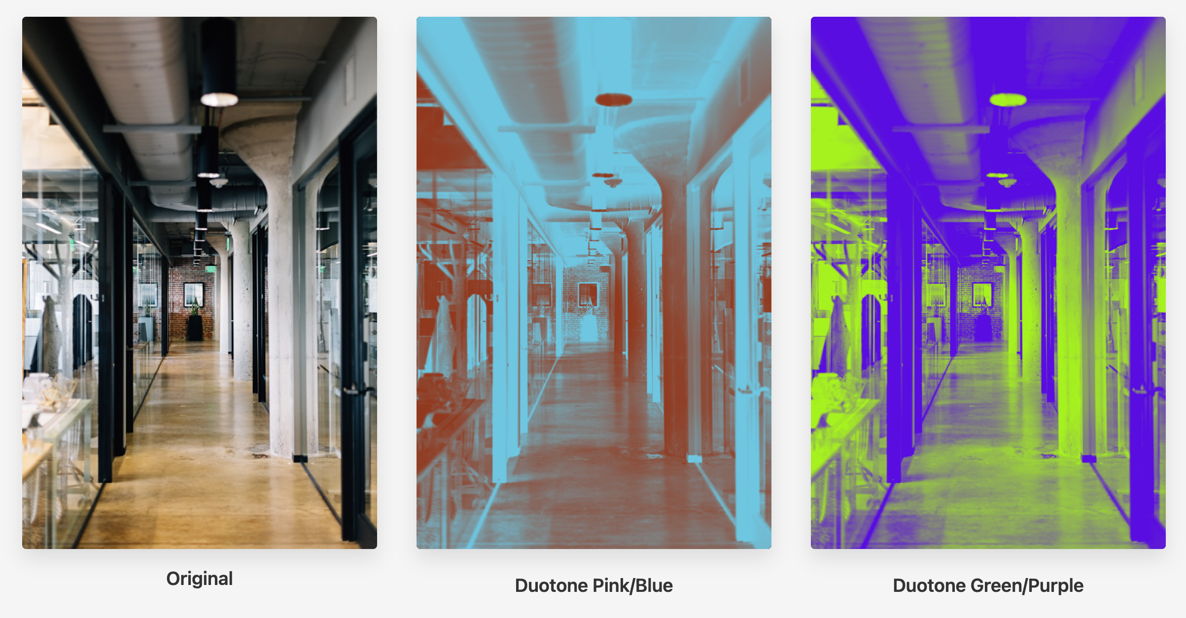 duotone example