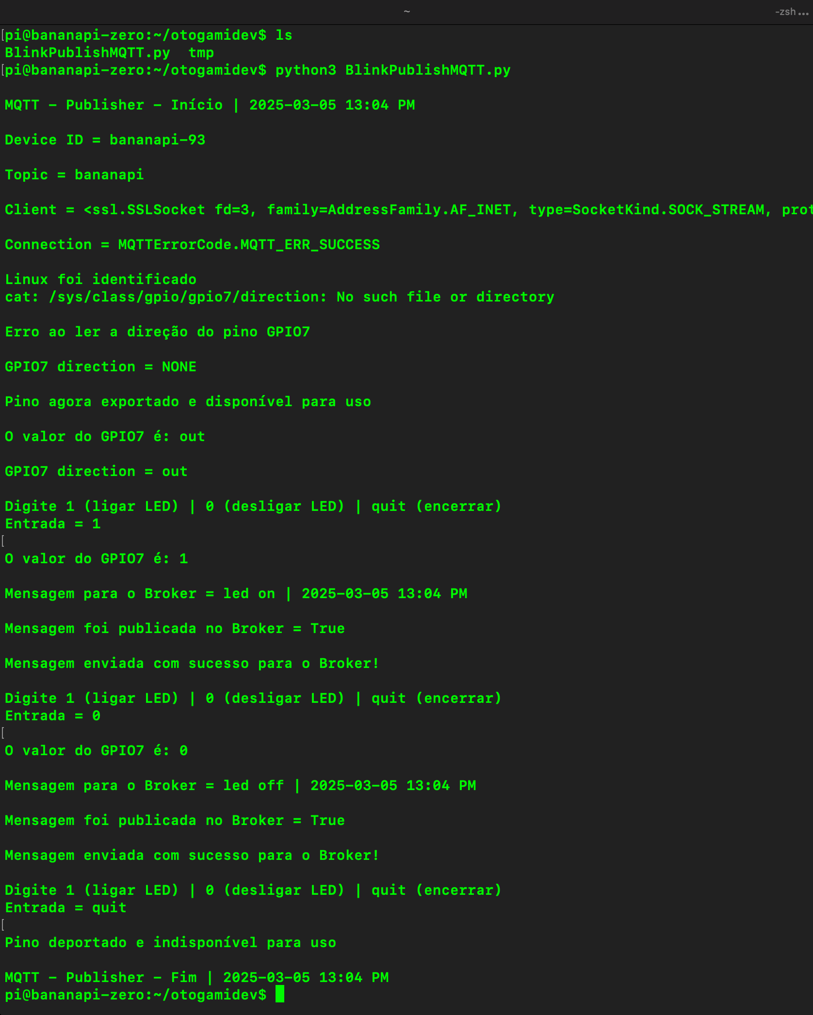 Exemplo de execução do código em Python no terminal