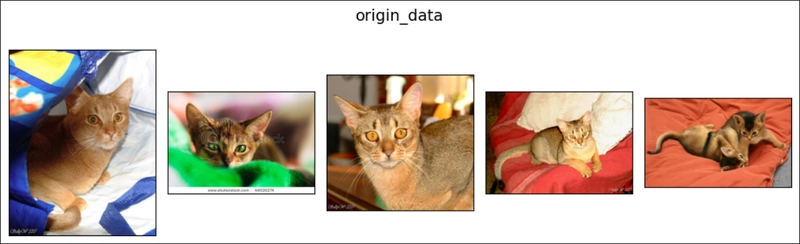 AutoAugment in PyTorch