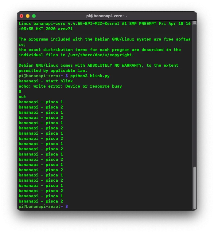 Executando o arquivo com o script em Python no terminal