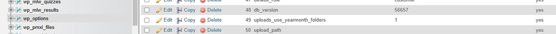 Fixing the WordPress Redirect Issue to /wp-admin/upgrade.php