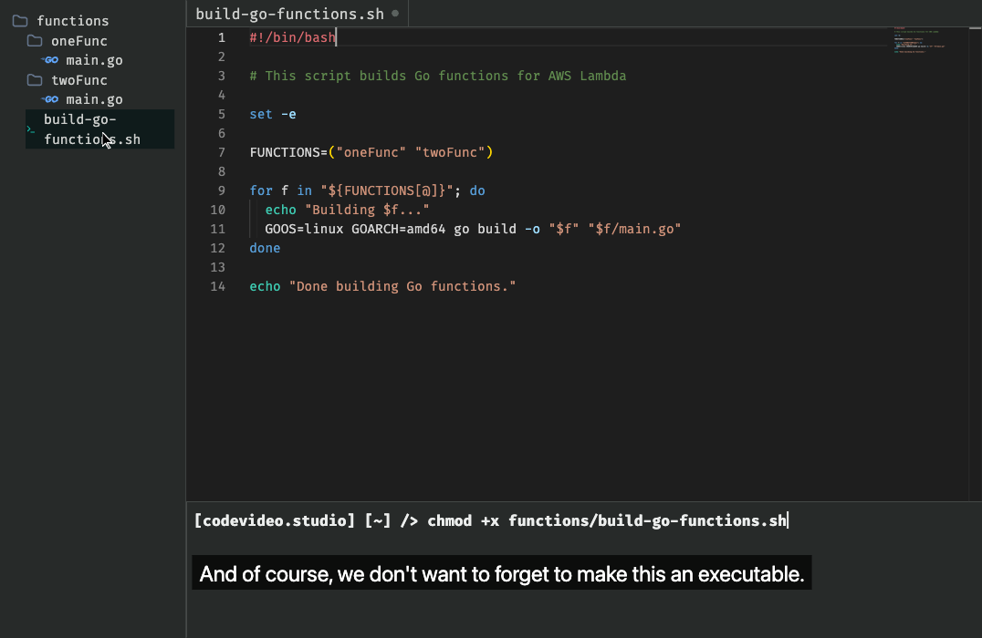 About halfway through the lesson, making the bash script executable.