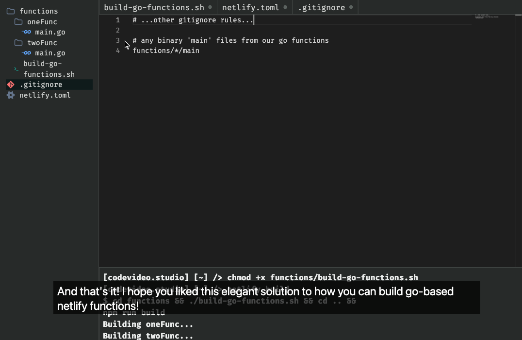 The final frame in the lesson, after we see the output of our build script!