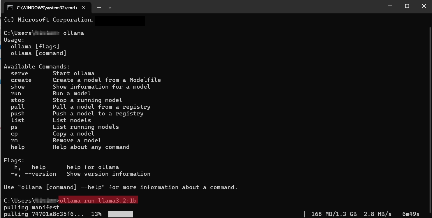 installing Ollama LLM models