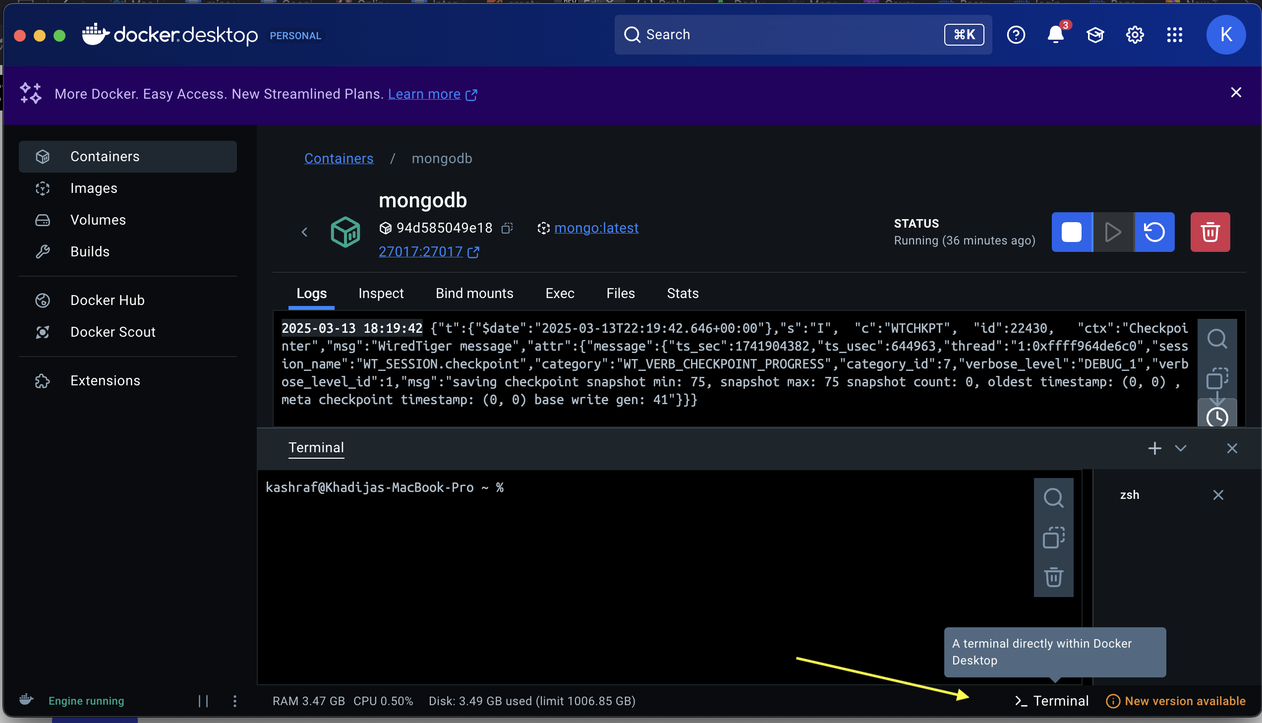 terminal from inside the docker container