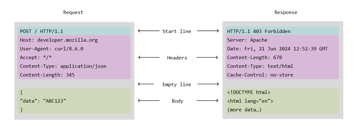 HTTP Requests and Responses