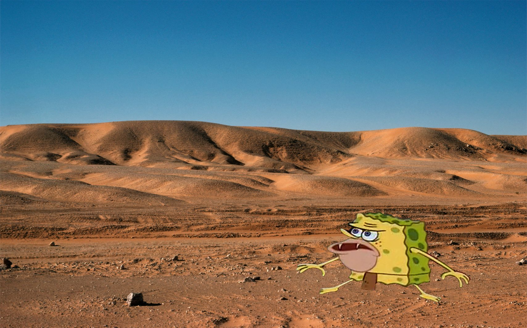 Bob Sponge in a desert