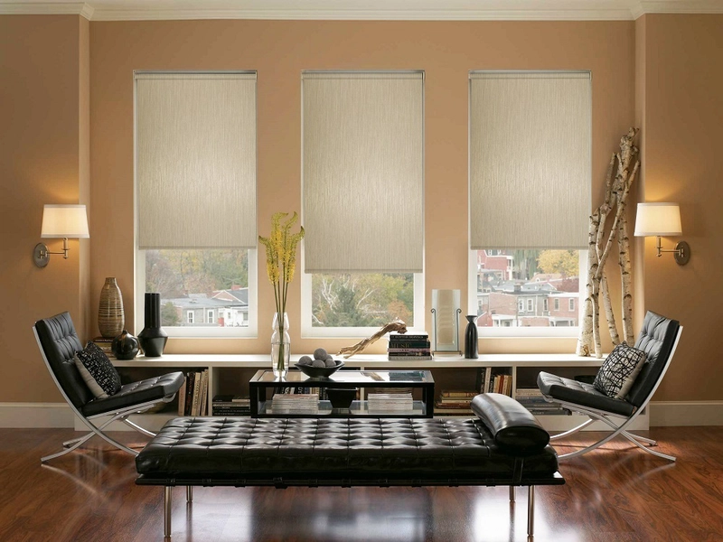 Enhancing Modern Interiors with Roller Blinds for Plastic Windows: A Comprehensive Guide