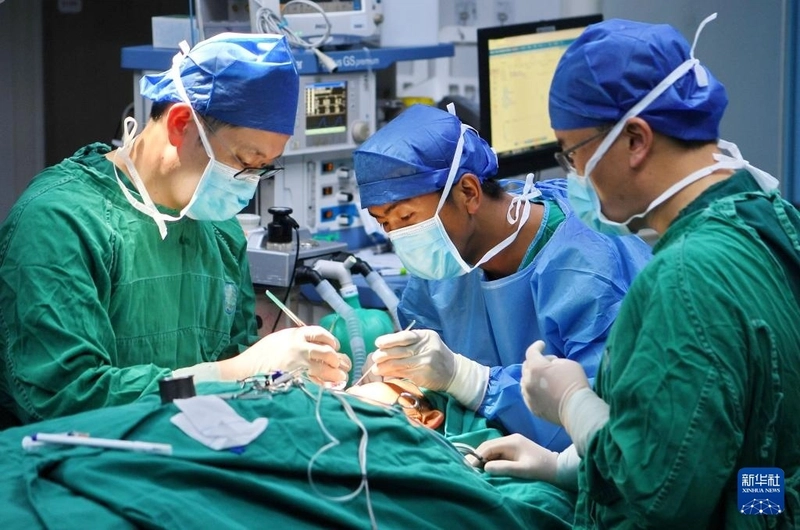 China's Job Market 2035: 5 Safe Havens and 3 Endangered Careers in the AI Era