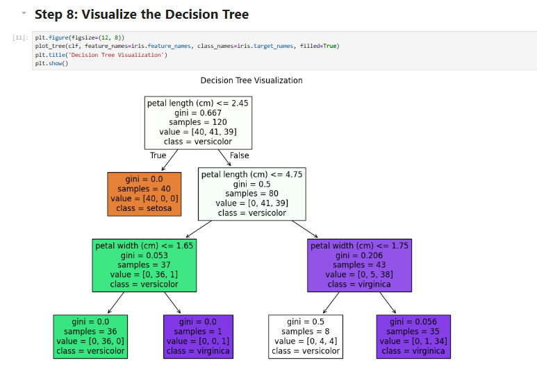 A Jupyter Notebook displaying a decision tree visualization trained on the Iris dataset. The tree is color-coded, with nodes containing information about petal length, petal width, Gini impurity values, and class labels such as 'setosa', 'versicolor', and 'virginica'. The structure splits based on feature values, leading to leaf nodes with final classifications.