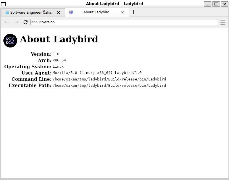 windows ladybird screenshot