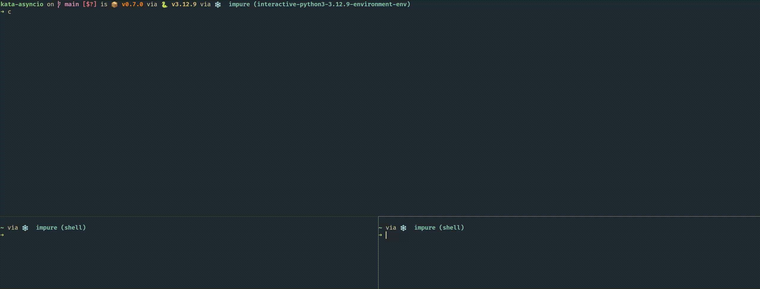 echo_server.gif