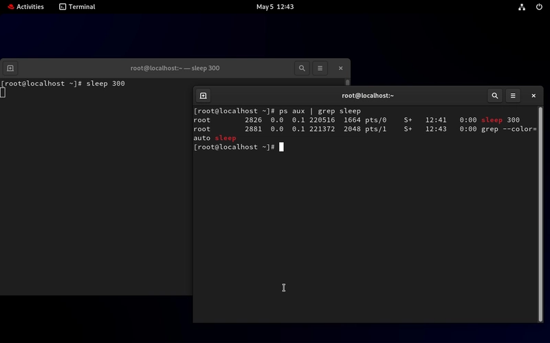 Day 12/ 30 Days of Linux Mastery: Process Management Simplified