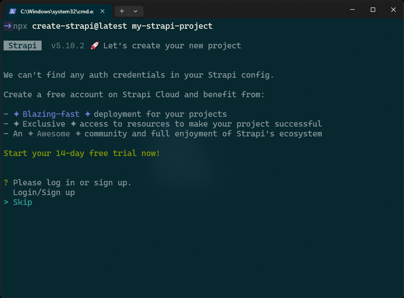 terminal skip cloud login.png