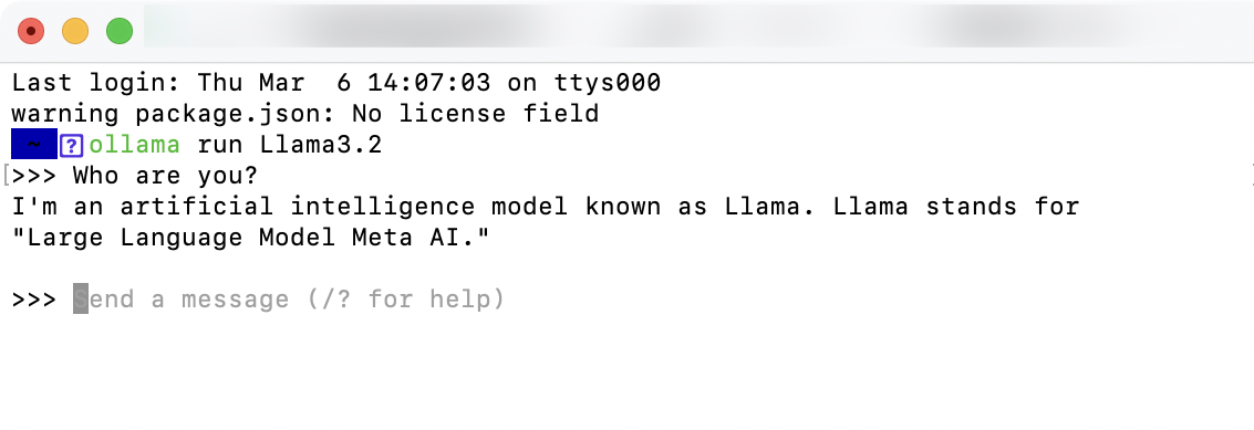 Example Chat Interaction