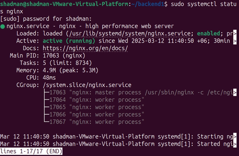 Nginx Config for Load Balancing