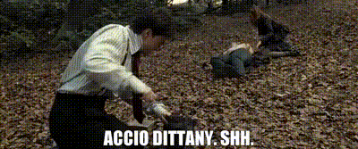 harry-potter-casting-spell-accio-dittany