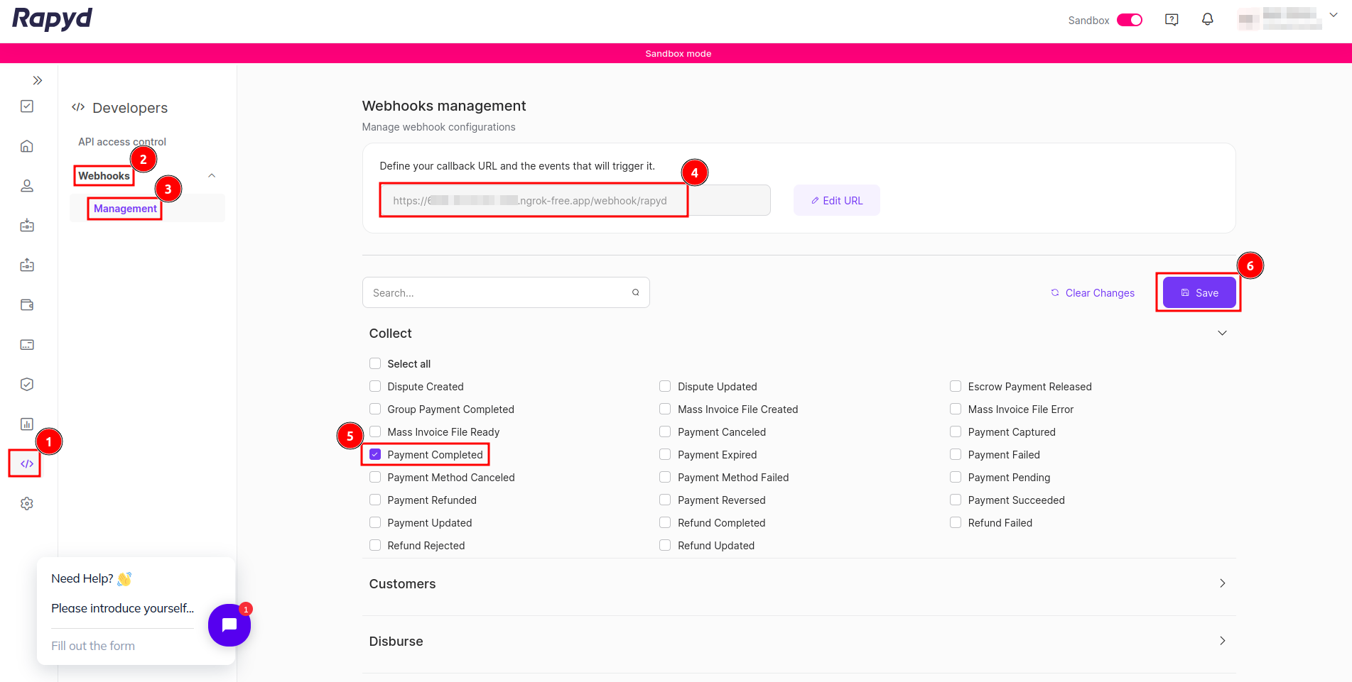 Providing callback URL