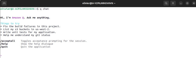 Talk to your diagrams with Amazon Q Developer CLI