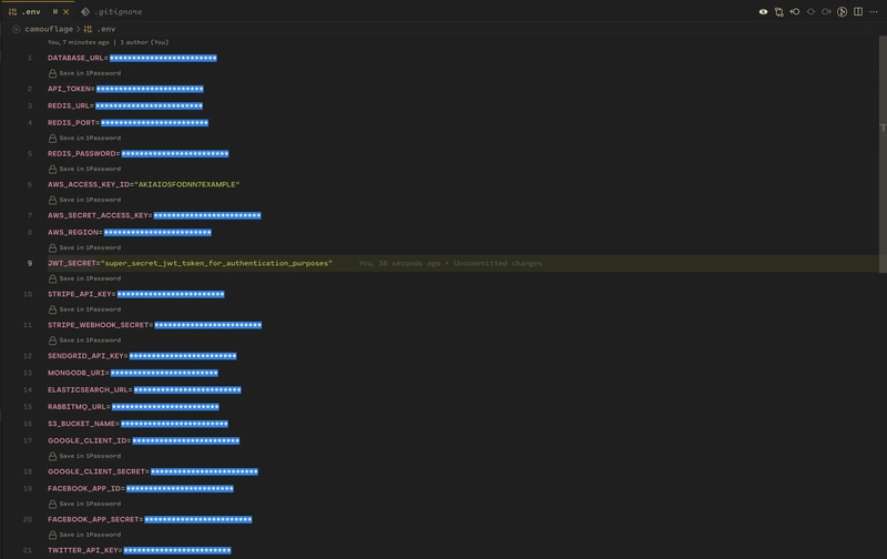 Camouflage: The modern way to hide sensitive values in VS Code