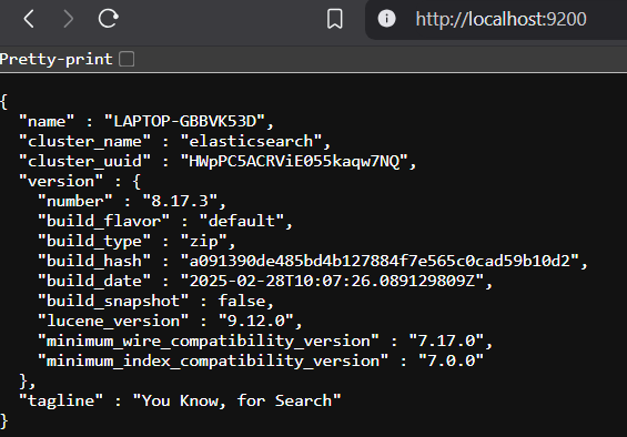 Elasticsearch Default page