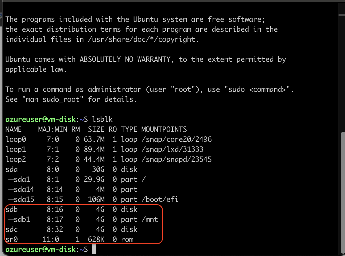 You should see a new disk